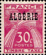 Algérie Taxe N** Yv:34 Mi:34 Epis De Blé - Postage Due