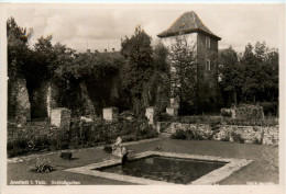 Arnstadt/Thür. - Schlossgarten - Arnstadt