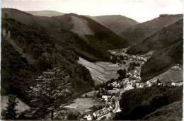 Sieber Im Harz, Blick Vom Lilienberg - Herzberg