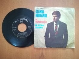 GIANNI MORANDI -LA FISARMONICA -MI VEDRAI TORNARE -DISCO VINILE 45 GIRI VINTAGE - Sonstige - Italienische Musik