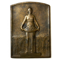 Médaille Plaque Bronze, Comptoir De L' Azote Attribué - Professionals/Firms