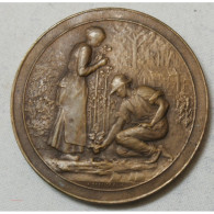 Médaille Bronze Jardiner Par A.DESAIDE. EDIT Décernée - Professionnels / De Société