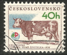 AF-9 Ceskoslovenko Vache Cow Vaca Kuh Koe Mucca Vacca - Agriculture