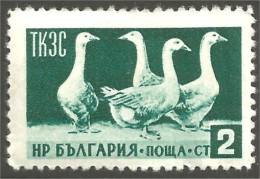 AF-2 Bulgaria Oie Goose Geese Gans Oca Ganso MH * Neuf CH - Ganzen