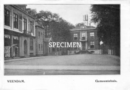 Prent - Gemeentehuis Veendam - 8.5x12.5 Cm - Veendam