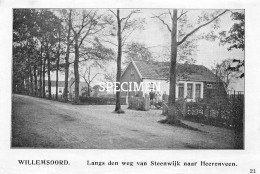 Prent - Langs Den Weg Van Steenwijk Naar Heerenveen - Willemsoord   - 8.5x12.5 Cm - Steenwijk