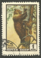 AS-126 Russie Bar Ours Bear Orso Suportar Soportar Oso - Bears