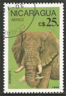 AS-77 Nicaragua Elephant Elefante Norsu Elefant Olifant - Elefantes