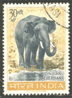 AS-71 India Elephant Elefante Norsu Elefant Olifant - Olifanten