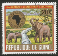 AS-67 Guinée Elephant Elefante Norsu Elefant Olifant - Eléphants