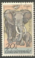 AS-3 Ceskoslovenko Elephant Elefante Norsu Elefant Olifant - Elefantes