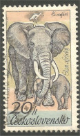 AS-5 Ceskoslovenko Elephant Elefante Norsu Elefant Olifant - Elefantes