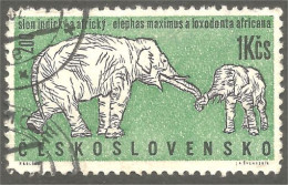 AS-2 Ceskoslovenko Elephant Elefante Norsu Elefant Olifant - Elefantes