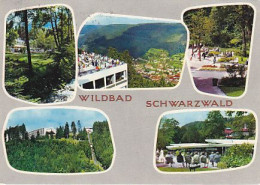 AK 211586 GERMANY - Wildbad / Schwarzwald - Hochschwarzwald