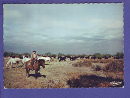 PROVENCE - MANADE De TAUREAUX Et De CHEVAUX - GARDIAN -  - Provence-Alpes-Côte D'Azur