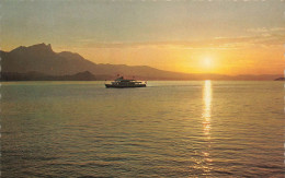 SUISSE - Thunersee - Sonnenuntergang - Coucher De Soleil - La Mer - Bateau - Carte Postale - Oberhofen Am Thunersee