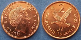 FALKLAND - 2 Pence 2004 "Upland Goose" KM# 131 British Colony Elizabeth II Decimal Coinage (1971-2022) - Edelweiss Coins - Malvinas