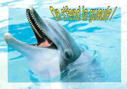 Animaux - Dauphins - CPM - Voir Scans Recto-Verso - Delfines