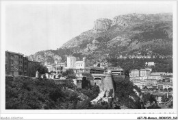 AGTP8-0625-MONACO - Le Palais Du Prince Et La Tete De Chien - Panoramic Views