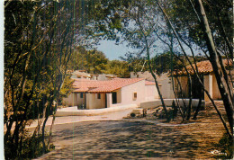 SIX FOURS Les PLAGES . LE BRUSC . C.C.A.S. Cantre De Vacances Du Brusc . Bungalows Sous La Pinède - Six-Fours-les-Plages