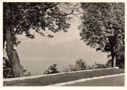 SUISSE - Ecole Française Du Valais - St Gingolph (Suisse) - Vue Générale - Vue Sur La Ville Au Loin - Carte Postale - Saint-Gingolph