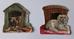 2 Anciens Chromos Polychromes Découpis, "Bichon Maltais Et Carlin Dans Leur Niche", Vers 1900 - Dieren