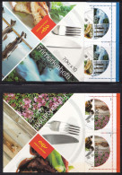 IS676 – ISLANDE - ICELAND - BOOKLETS - 2005 - EUROPA - Y&T # C1030/31 MNH 55 € - Libretti