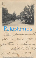 228854 ARGENTINA BUENOS AIRES PALERMO PARQUE 3 DE FEBRERO SPOTTED POSTAL POSTCARD - Argentinien