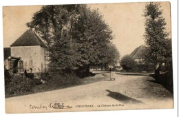 COURTENAY LE CHATEAU DE SAINT PHAL   ANIMEE - Courtenay