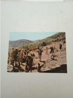 CARTOLINA: A VIEW OF YEMENITE FARMER IN ALMAHWEI (MOVIMENTATA) VIAGGIATA - F/G - COLORI - LEGGI - Emirats Arabes Unis