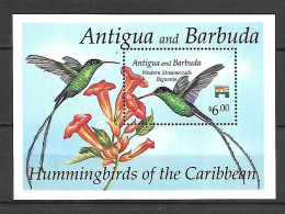 Antigua & Barbuda 1992 Birds - Hummingbirds Of The Caribbean #2 MS MNH - Colibris