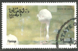 OI-211 Oman Flamant Rose Flamingo Flamenco Fenicottero - Flamingo