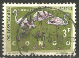 OI-30b Congo Flamant Rose Flamingo Flamenco Fenicottero - Flamingo