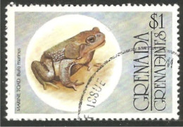 RP-12 Grenada $1.00 Grenouille Frog Rana Kikker Frosch - Frösche