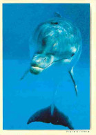 Animaux - Dauphins - CPM - Voir Scans Recto-Verso - Delfines