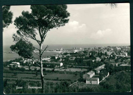 BF189 FANO - PANORAMA - 1955 - Fano