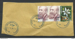 ROMANIA Rumänien O 2019 Cover Cut Out O Bucuresti 2 X Nicolae Iorga - Used Stamps