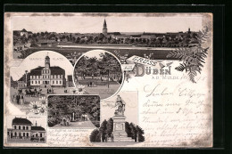 Lithographie Düben A. D. Mulde, Marktplatz, Bahnhof, Partie Im Stadtpark  - Bad Dueben