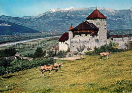 72748205 Vaduz Schloss Residenz Fuerst Von Liechtenstein Panorama Rheintal Vaduz - Liechtenstein