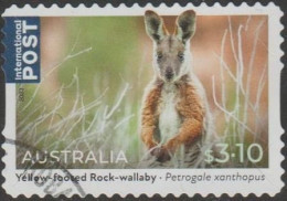 AUSTRALIA - DIE-CUT-USED 2023 $3.10 Native Animals, International - Yellow-footed Rock-Wallaby - Oblitérés