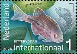 Netherlands Pays-Bas Niederlande 2024 Europa CEPT Undewater Fauna Fish Stamp MNH - Unused Stamps