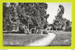 17 ANGOULINS SUR MER N°5 Allée Centrale Parc Municipal En 1960 VOIR DOS - Angoulins