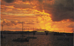 AUCKLAND HARBOUR NEW ZEALAND - Nieuw-Zeeland