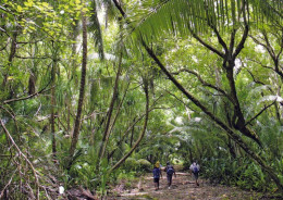 1 AK American Samoa * Ansicht Der Insel Swains - Ein Atoll Im Südpazifik - Es Gehört Zu Amerikanisch Samoa * - Samoa Américaine