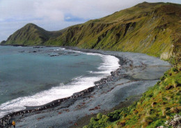 1 AK Macquarie Island * Landschaft Dieser Subantarktischen Insel * Seit 1997 UNESCO Weltnaturerbe - Zu Australien * - Autres & Non Classés