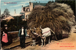 CPA Pyrénées Attelage Béarnais Folklore (1390127) - Bearn