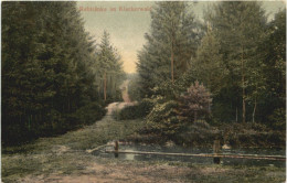 Harburg - Rehtränke Im Kleckerwald - Harburg