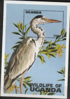 Uganda 1996, Postfris MNH, Birds - Ouganda (1962-...)