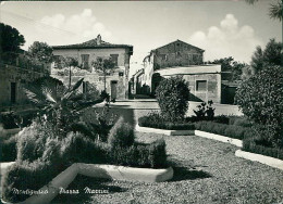 MONTIGNANO ( SENIGALLIA ) PIAZZA MAZZINI - EDIZIONE PANNIO - SPEDITA 1955 (20586) - Senigallia