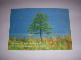 CP CARTE POSTALE MESSAGE ARBRE Ecouter La Musique Des Arbres... ECRITE - Bomen